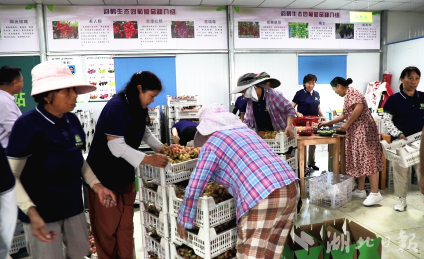 宝运莱手机登录页面